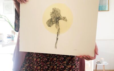 Iris di sole e rinascite