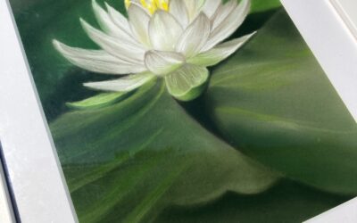 Il 𝒇𝒊𝒐𝒓𝒆 𝒅𝒊 𝒍𝒐𝒕𝒐 simbolo indiscusso di perseveranza e bellezza 🪷 artist artwork