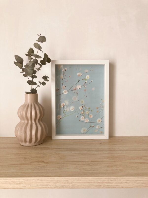 Originale Delicatezza - Image 2