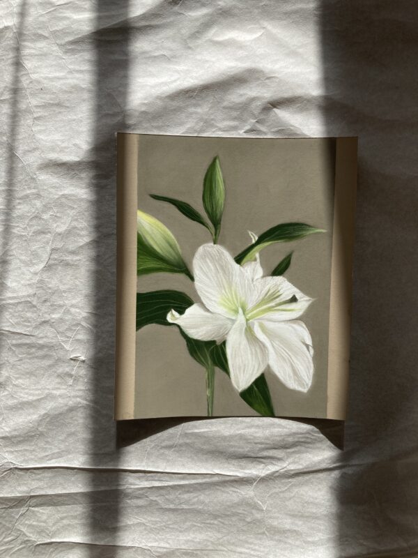 Originale Lilium - Image 2