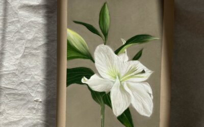 nuove idee e un lungo importante percorso di cui vi renderò partecipi pubblico questo Lilium