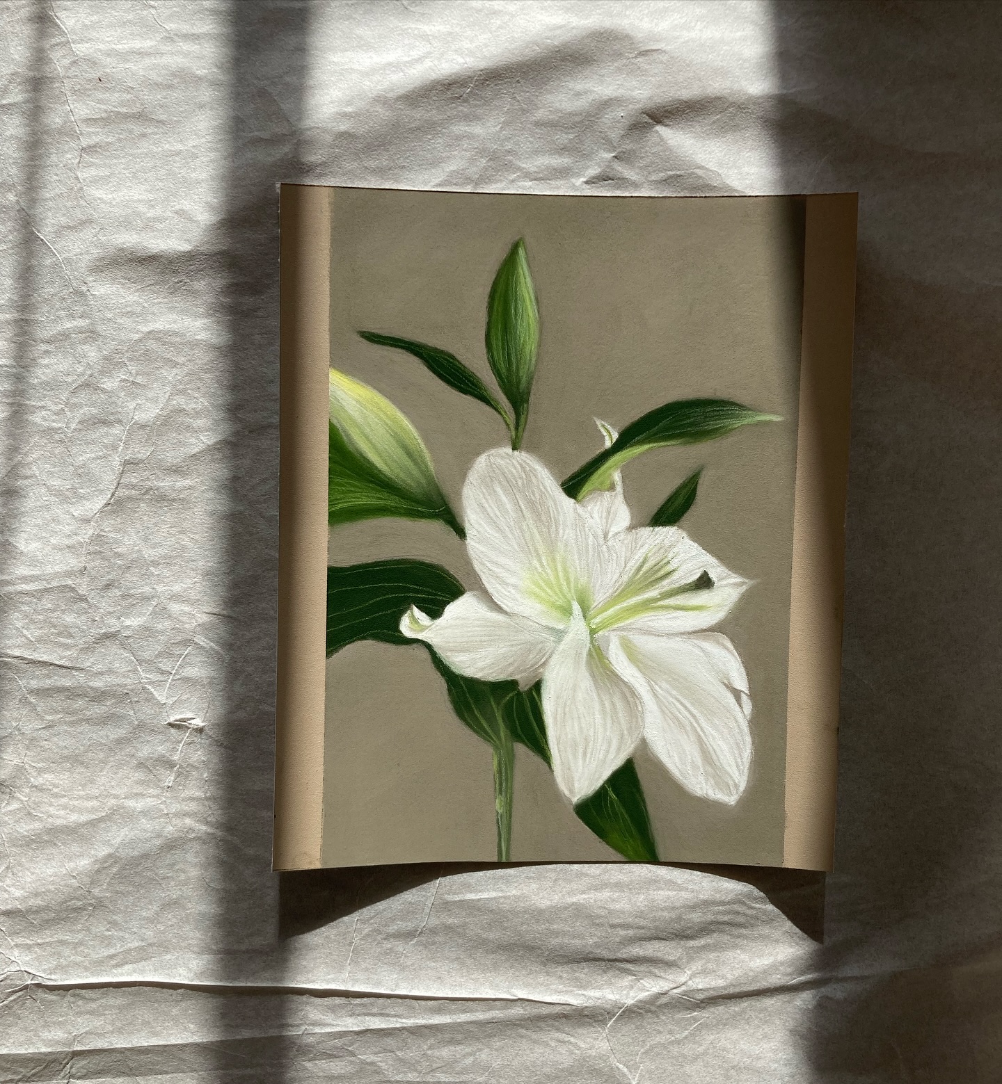 nuove idee e un lungo importante percorso di cui vi renderò partecipi pubblico questo Lilium Mentre fioriscono nuove opere nuove idee e un lungo importante percorso di cui vi renderò partecipi pubblico questo Lilium
Un delicato buon auspicio per questo mio nuovo intimo percorso
artist artistsupport artoftheday artonline artoninstagram artgallery artlover painting artpaint artinstudio artjournal paintings paintlove art_we_inspire art_4share